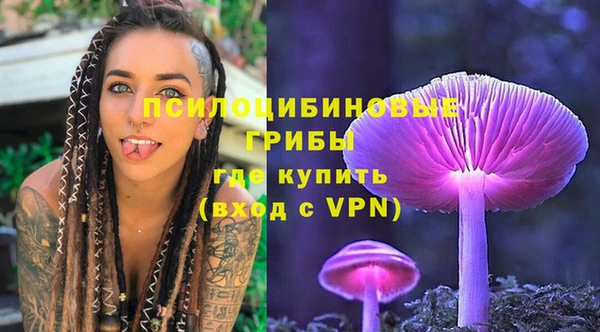 ГАЛЛЮЦИНОГЕННЫЕ ГРИБЫ Богородицк