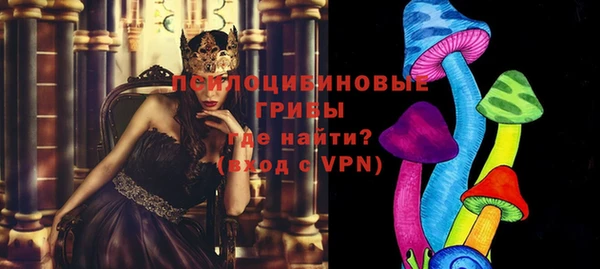 а пвп мука Богданович