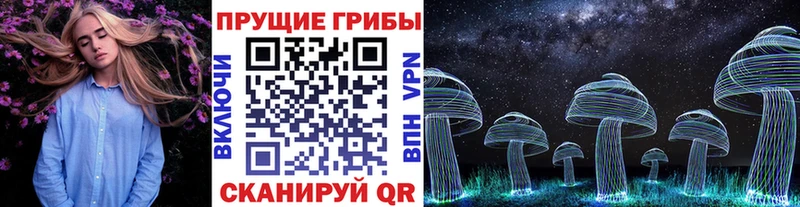 Купить  Волчанск  Галлюциногенные грибы MAGIC MUSHROOMS 